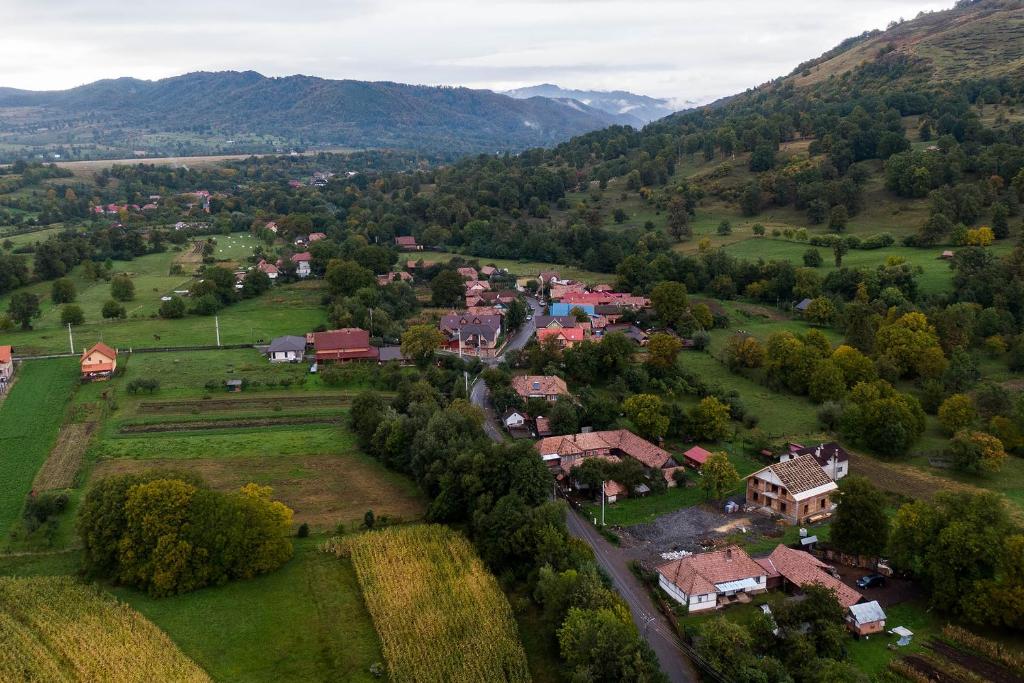 Doispe Nuci photo 3