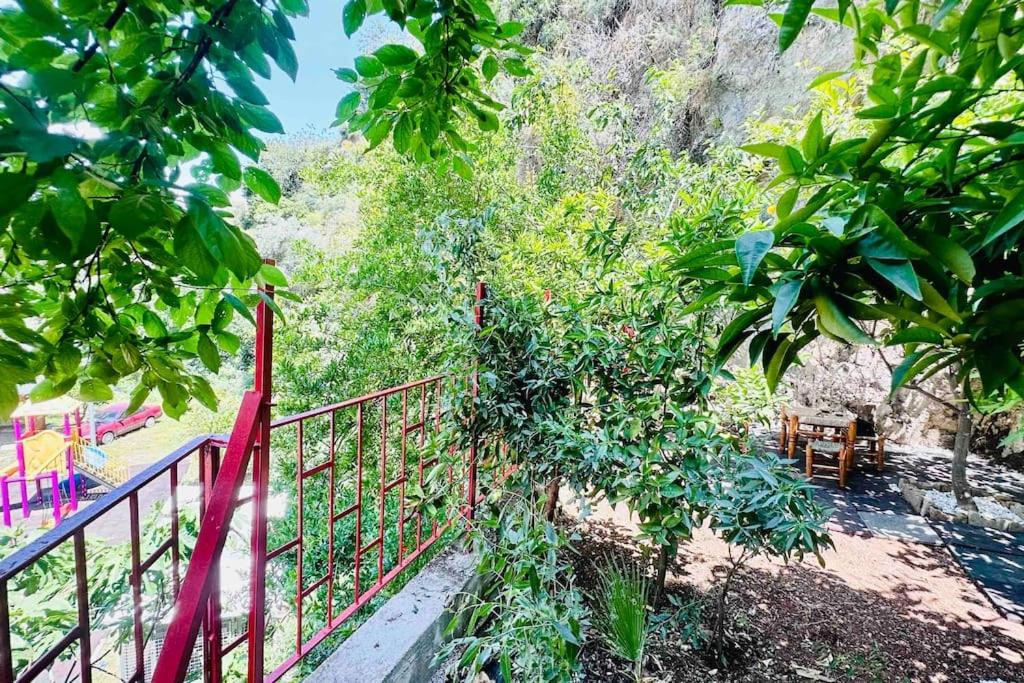 Stylish&Luxury Flat with Garden Close to Sea photo 4