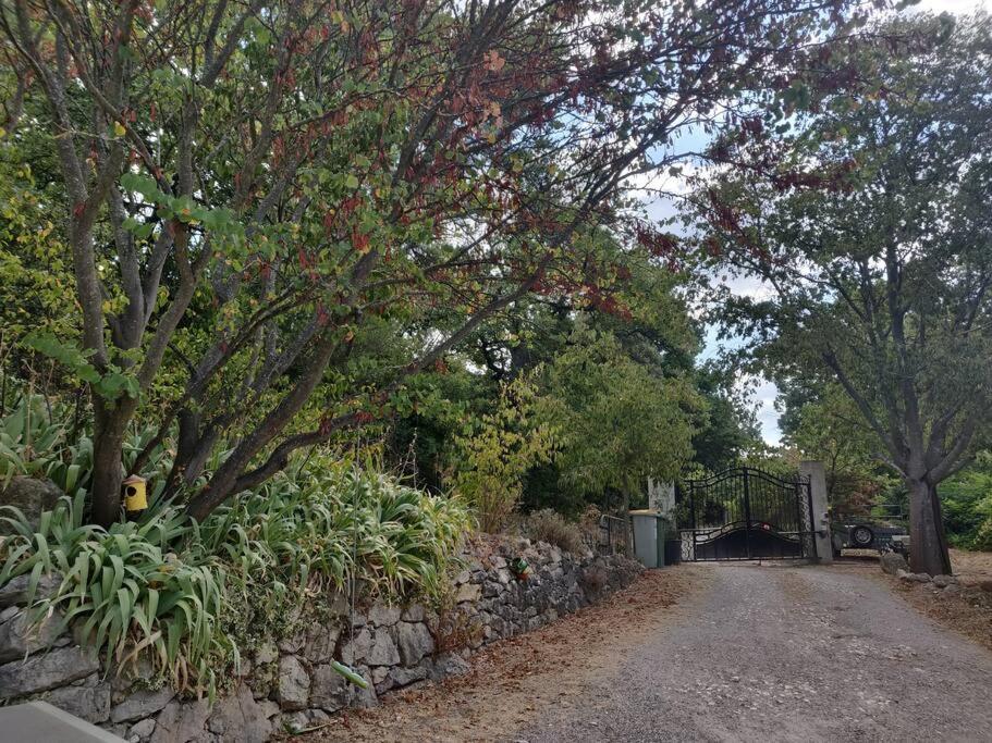 Guest house proche Aix en Provence photo 2