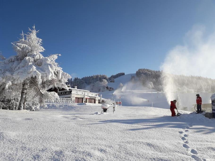 chalet l'Orignal 145m2, 10pers, pied de piste,SPA photo 2