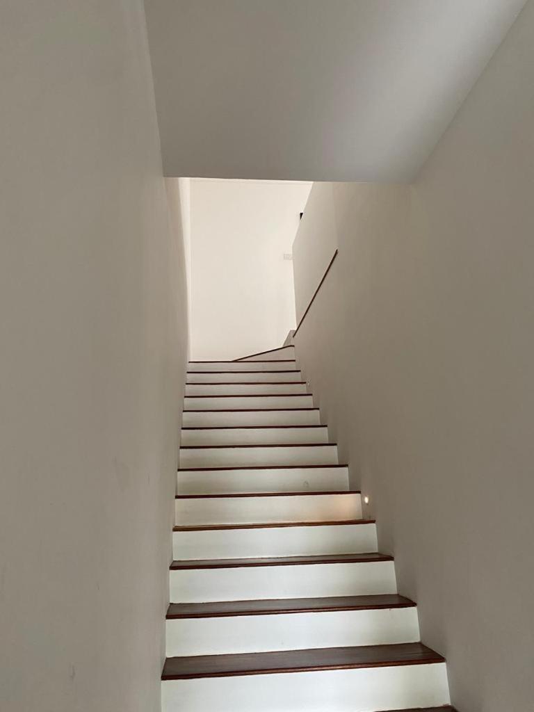 Timurahaus photo 4