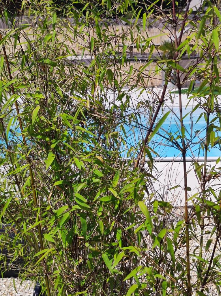 Le clos des crins photo 2