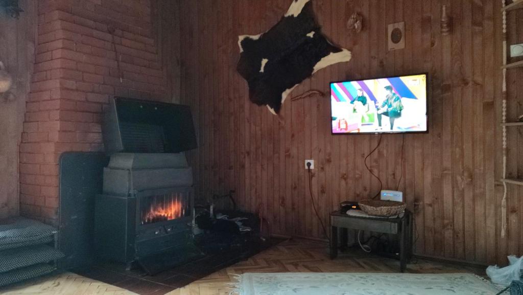 Apartmani Damjan Vlasinsko jezero photo 3