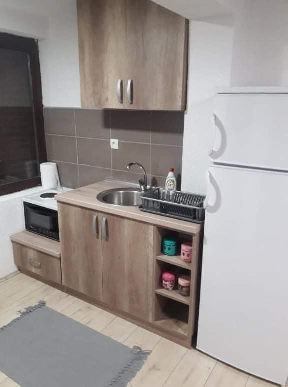 Apartmani Damjan Vlasinsko jezero photo 4