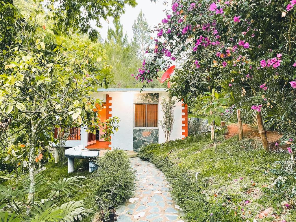 Casa del Arroyo 2-Bedroom Cottage Fireplace and BBQ photo 1