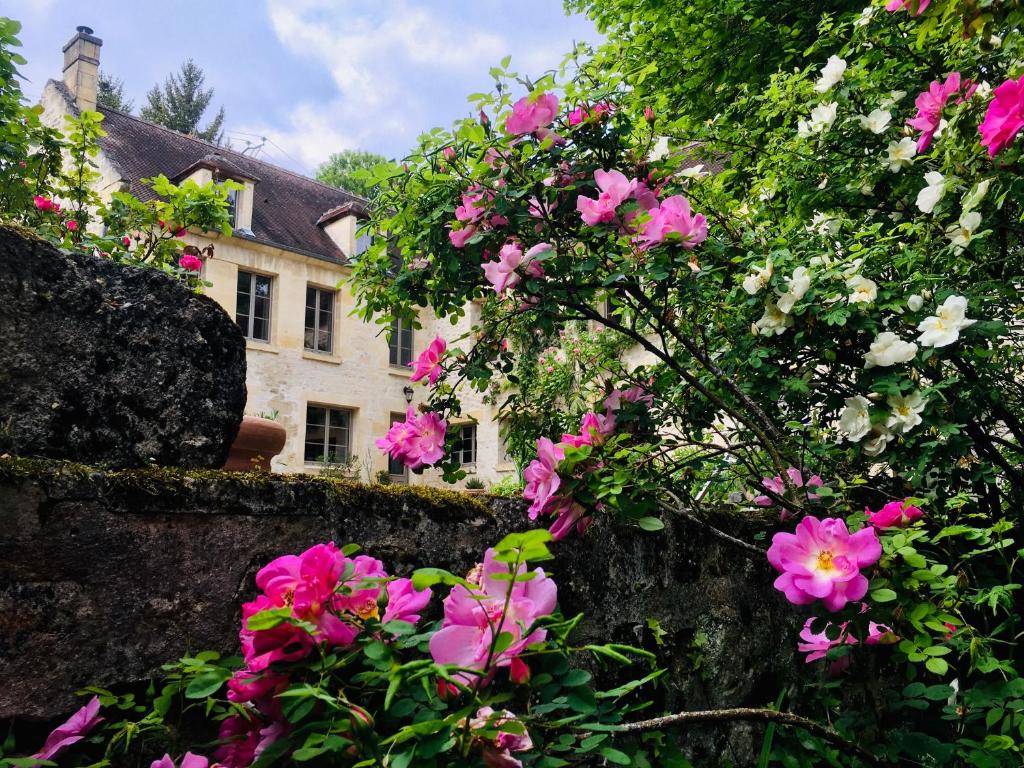 La Tour de Flandre photo 1