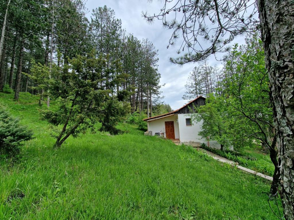 Bujtinat Skenderi Gjinar 1 photo 1