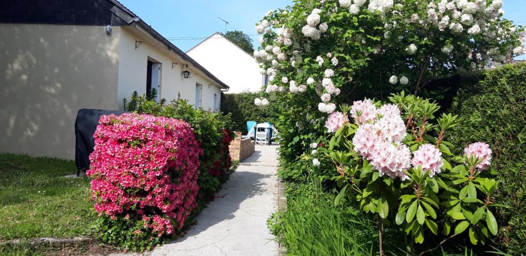 Maison chaleureuse avec insert en campagne photo 1