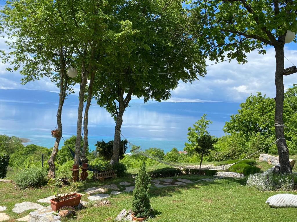 Paradise Nest photo 3