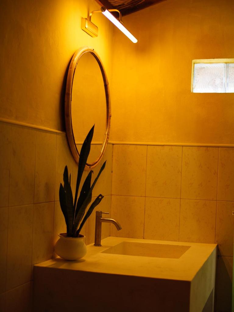 Banana Surf House photo 4