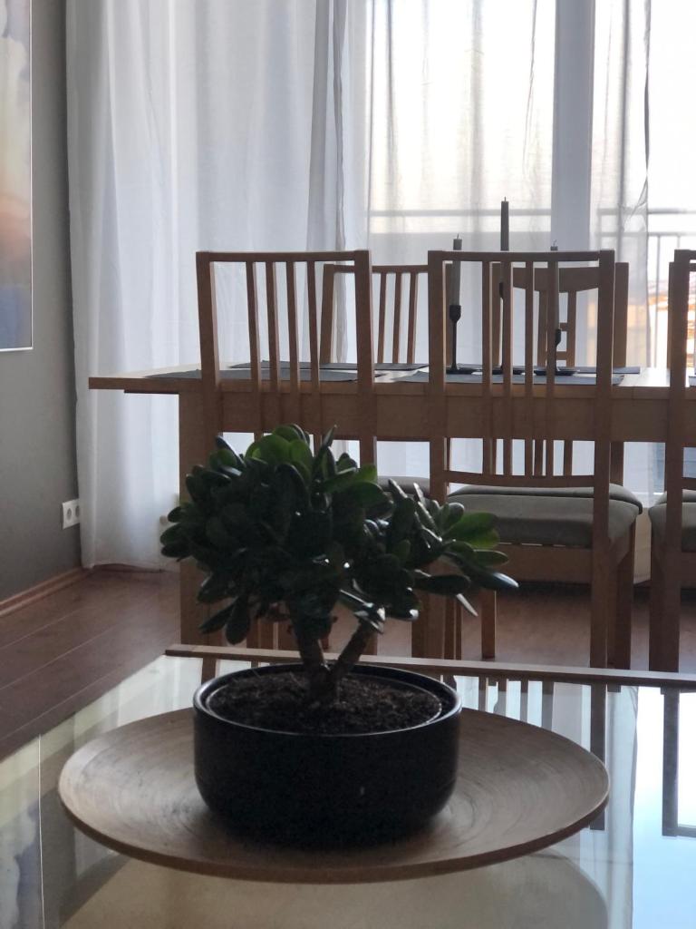 Eyjasol Apartments photo 1