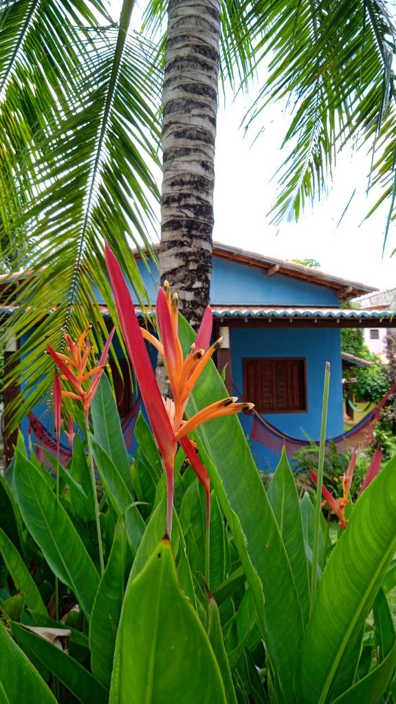 Pousada Vila Caju photo 1