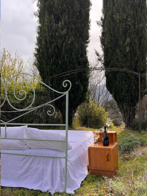 Tenuta Il Colle di Tiglio photo 4