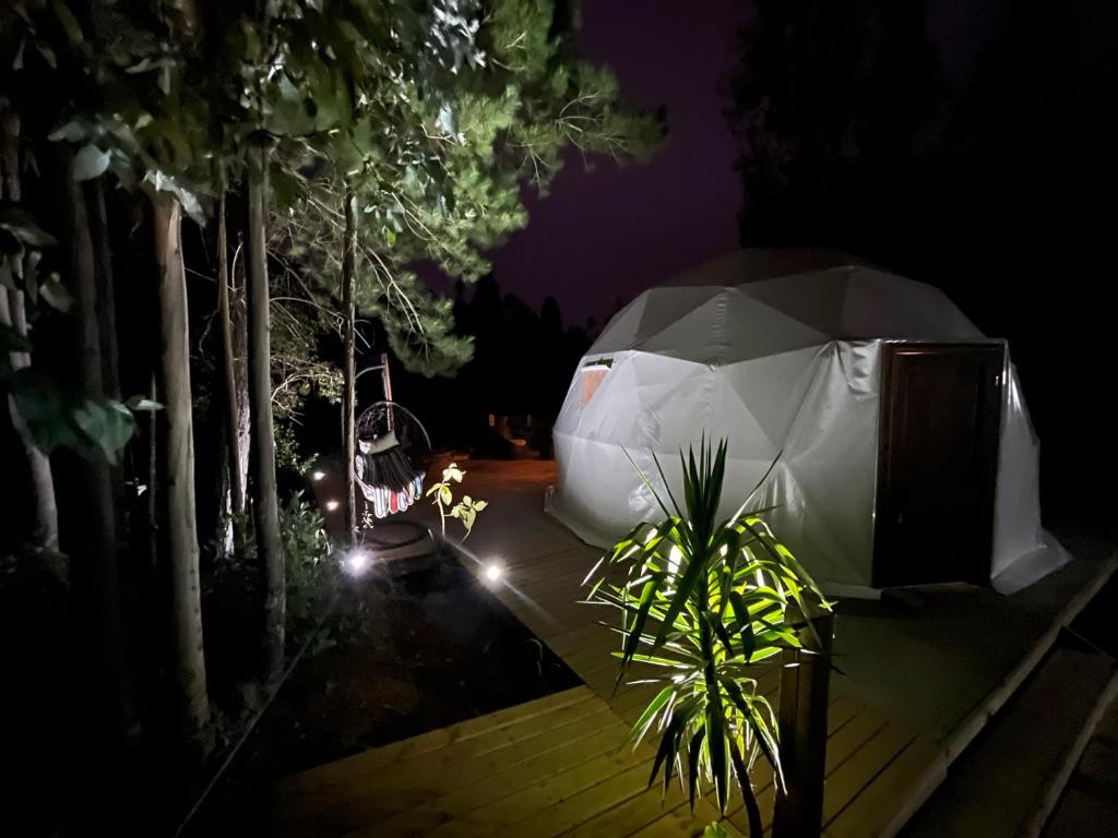 OASIS PICHILEMU DOMO photo 1