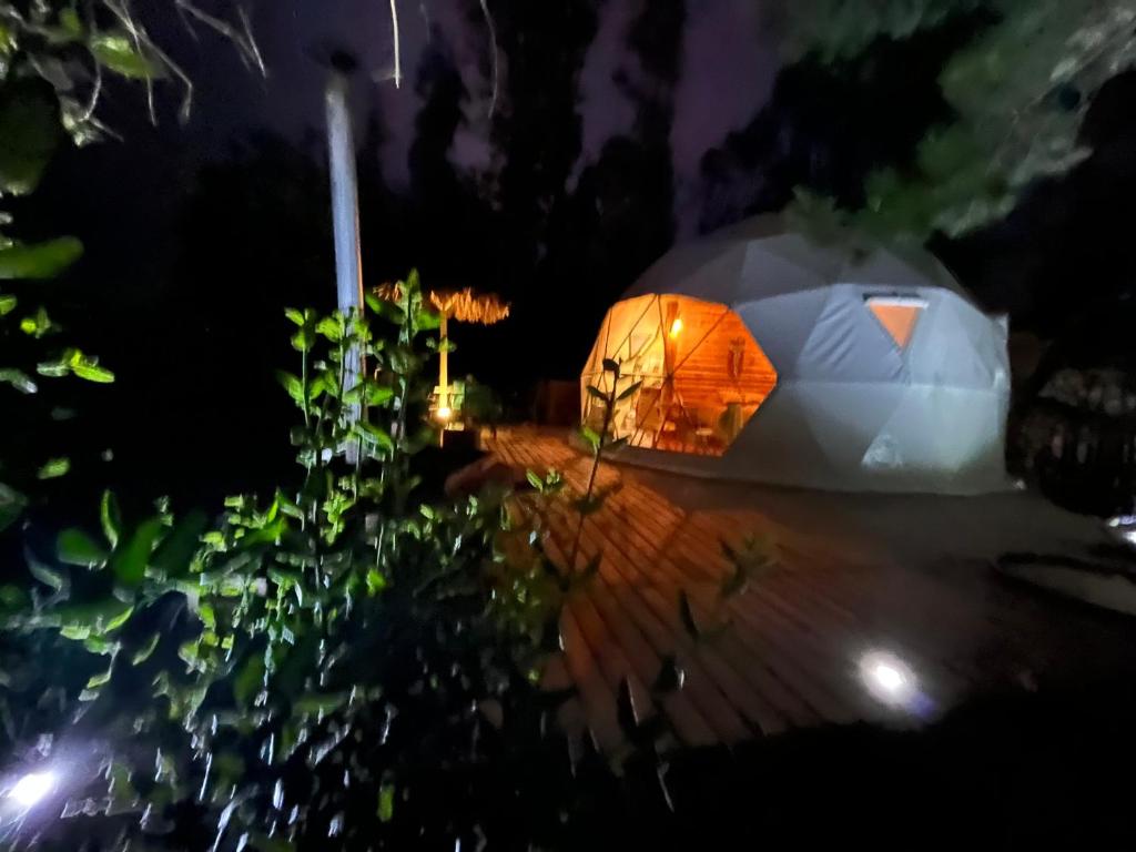 OASIS PICHILEMU DOMO photo 4