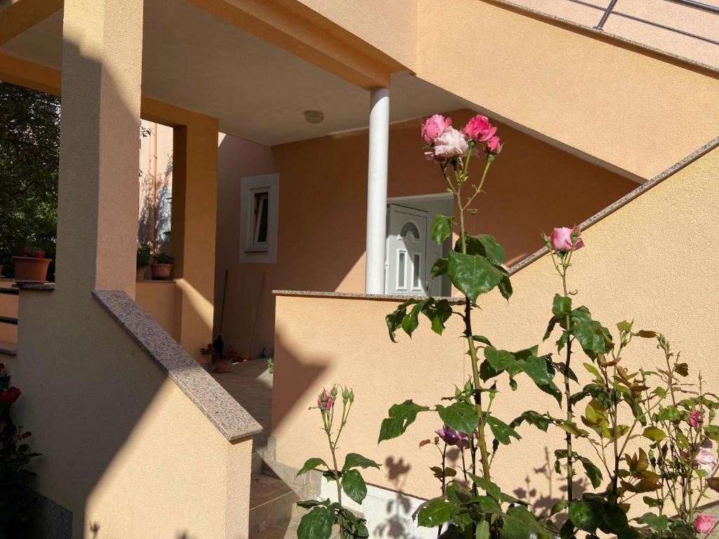 Apartmani Gojko photo 3