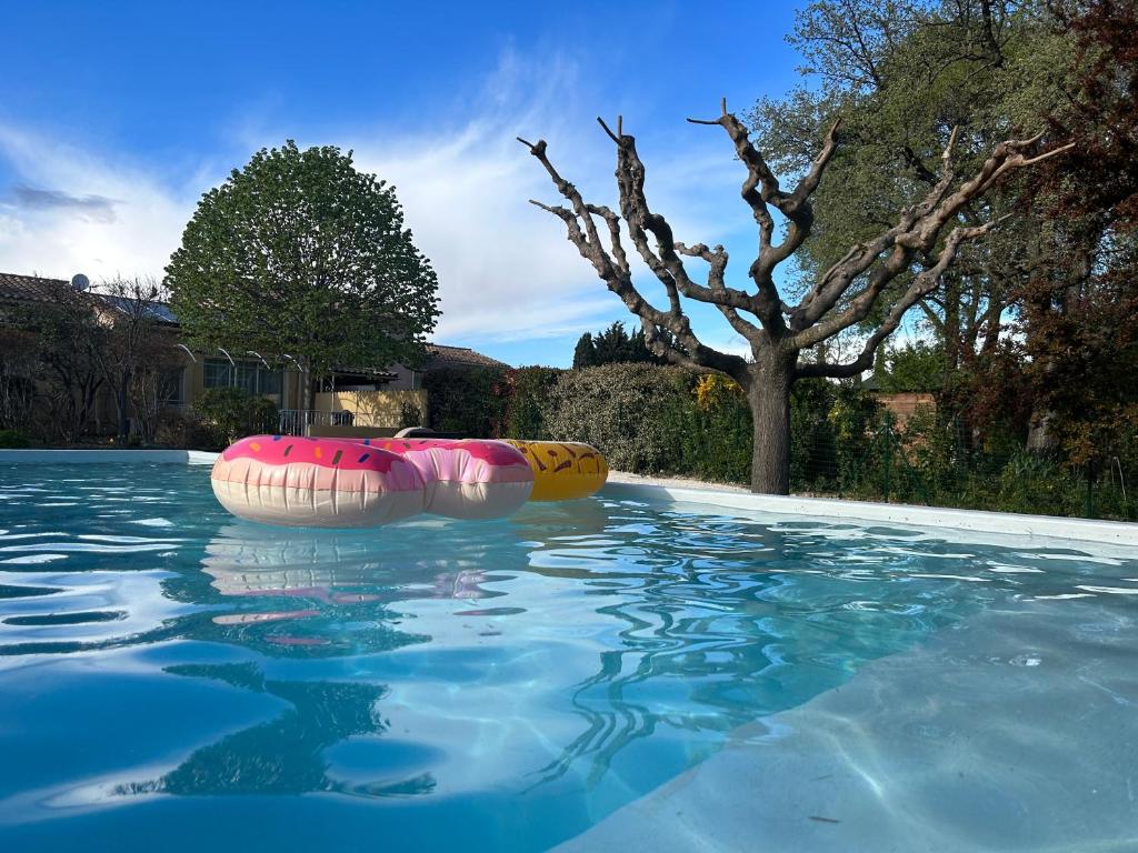 Gîte l'Ouvèze photo 2