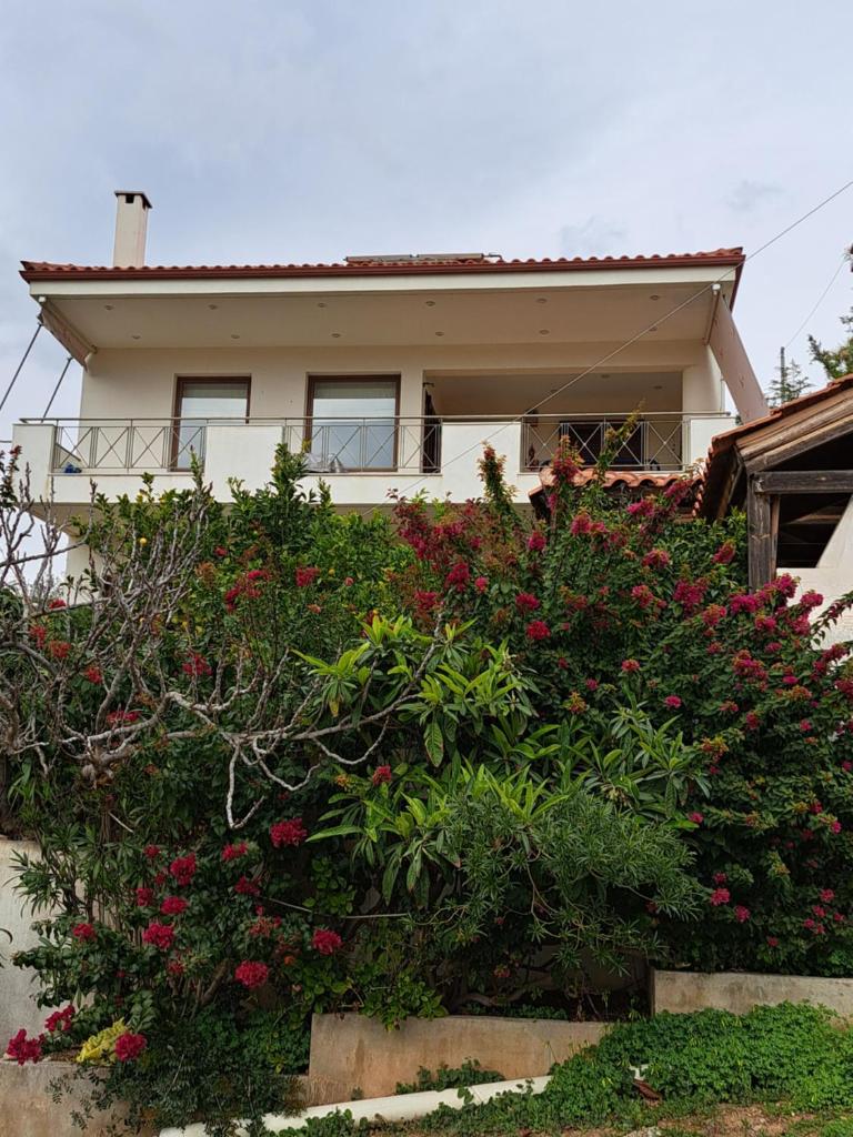 Villa Anthi by the sea photo 2