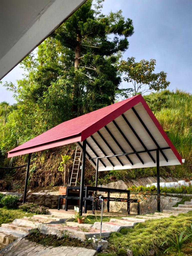 KUNDASANG MOUNT GARDEN photo 4
