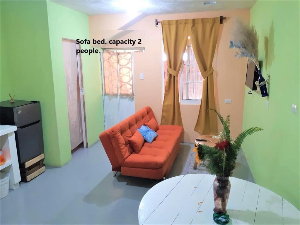 COMFY furnished private apartment.Netflix/internet photo 3