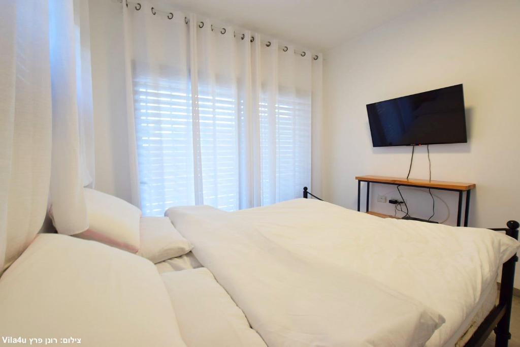Allen suite photo 1