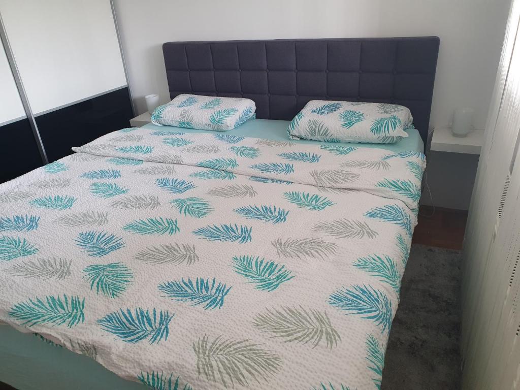 Apartman Džakula photo 1