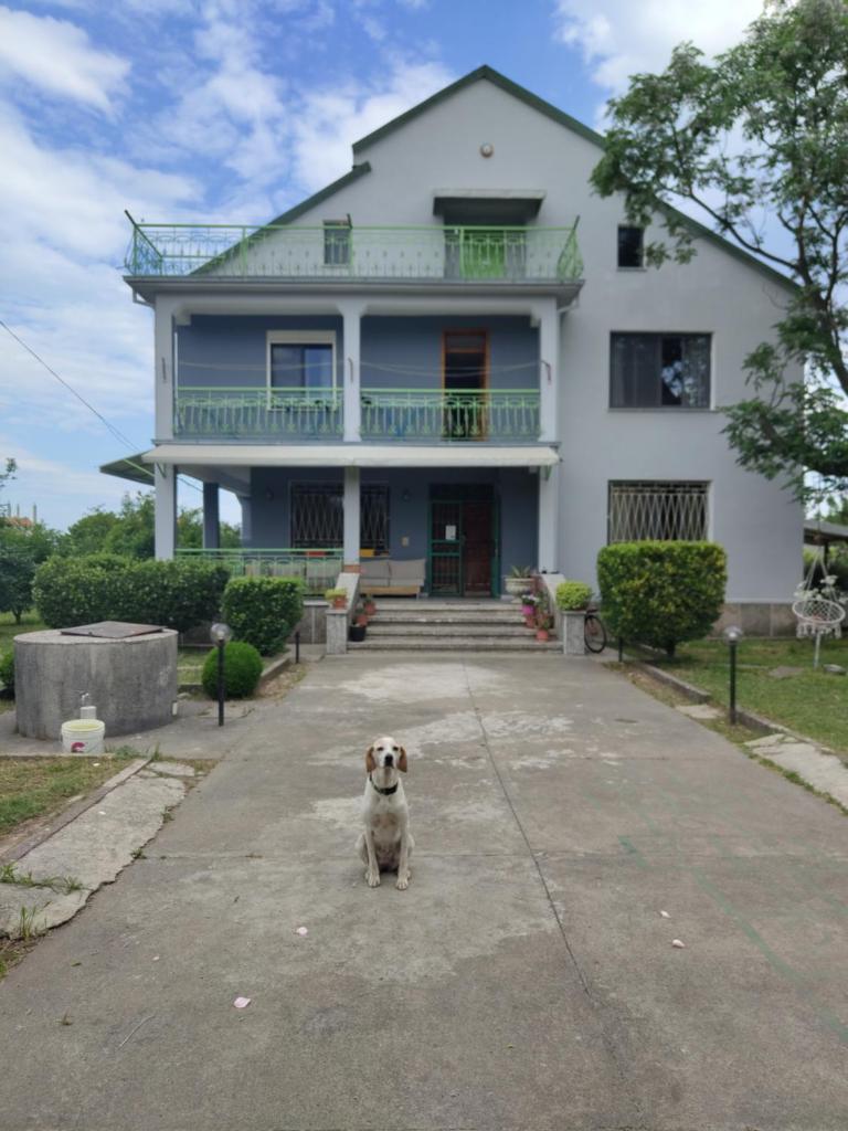 Green Garden Guesthouse photo 1