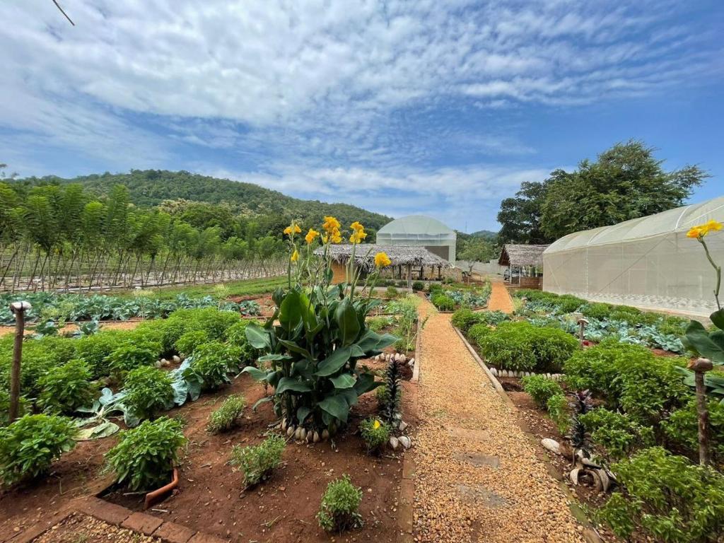 Cozy Farm Stay photo 1