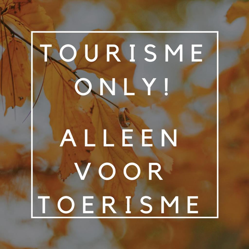 Luxe All season Chalet De Goudenregen photo 3