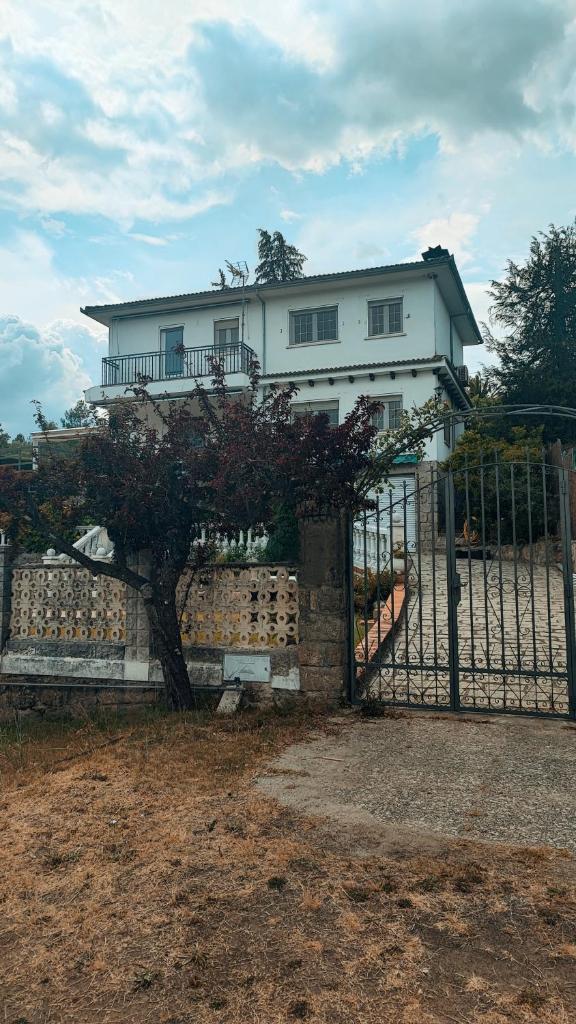 Villa Moiko photo 2