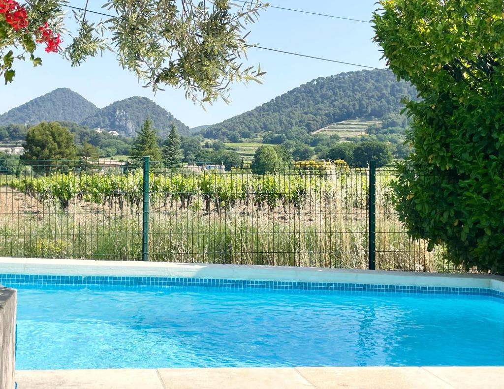 Entre vignes et horizon Appartement avec jacuzzi privatif et piscine commune chauffée photo 4
