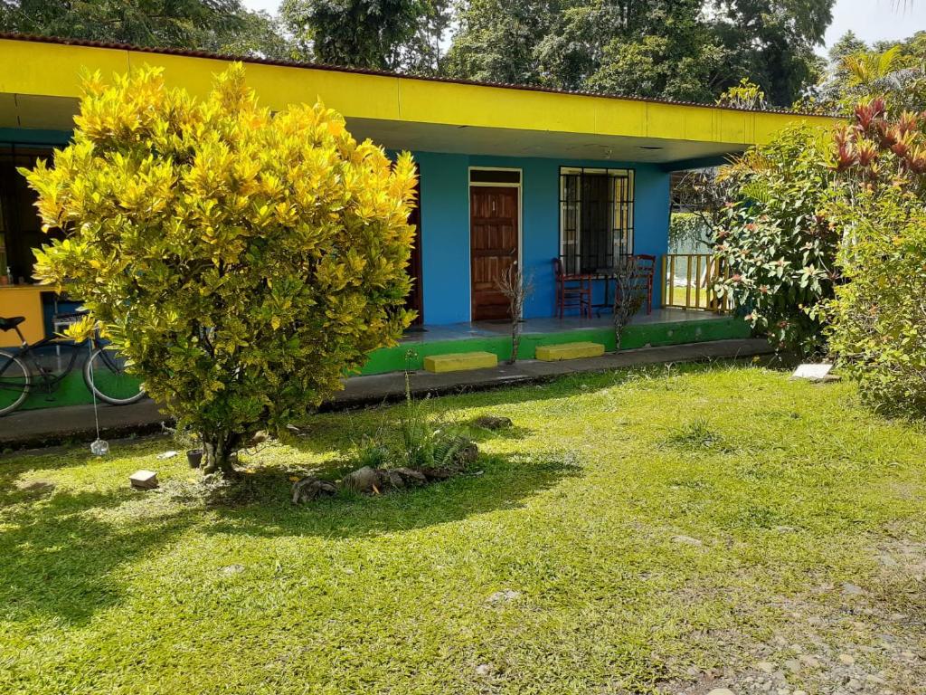 Miss Magi cahuita rooms photo 1
