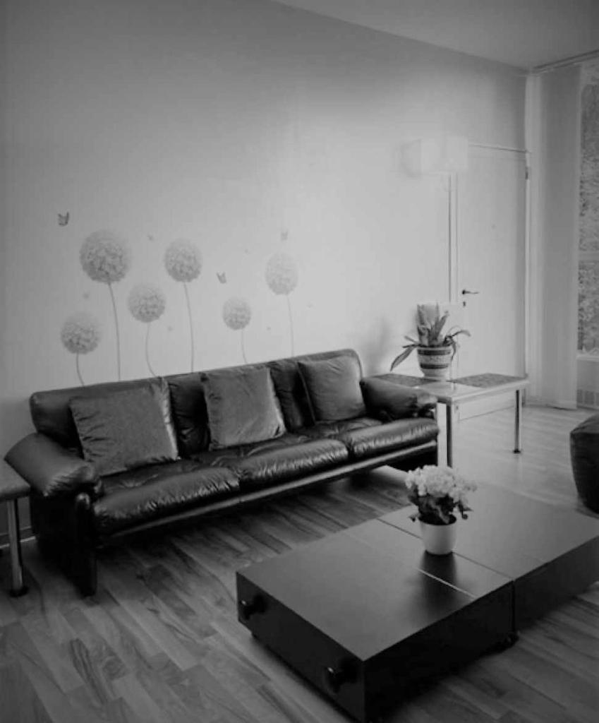 Talponia 212 photo 3