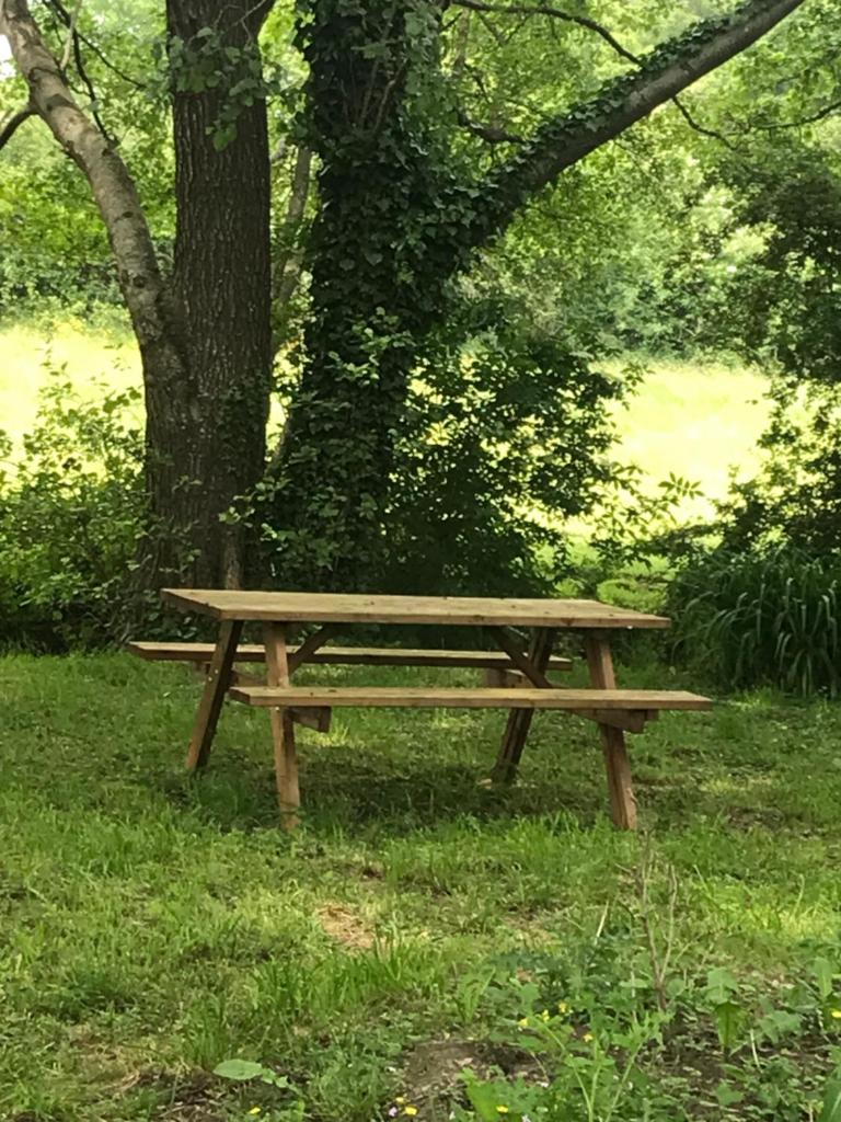 Réveil aux chants des oiseaux photo 3