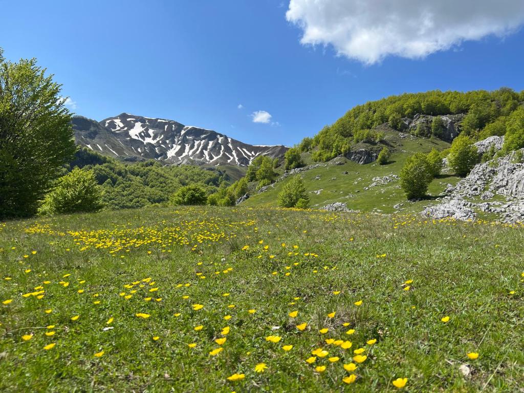 Guesthouse Alpini photo 3
