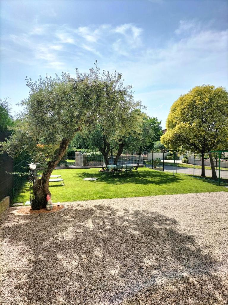 Casa Degli Ulivi photo 3