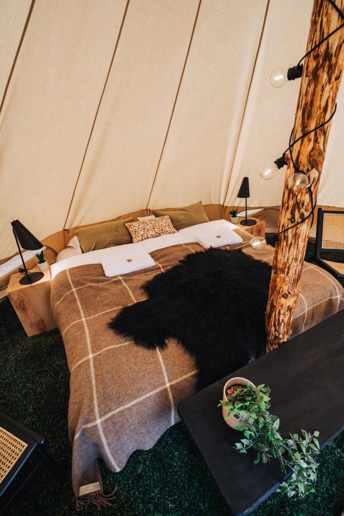 Golden Circle Tents - Glamping Experience photo 1