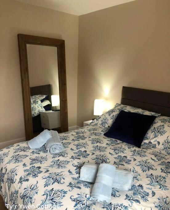 Tyr Ywen Cottage photo 3