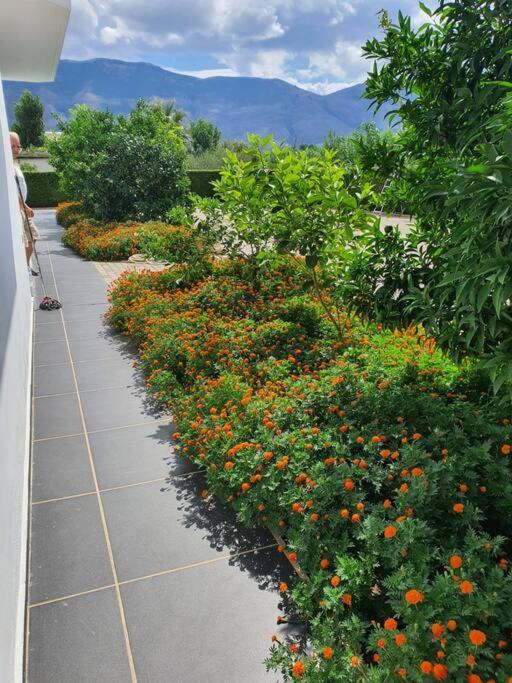 Apartment Alma by Orikum Apartments photo 3