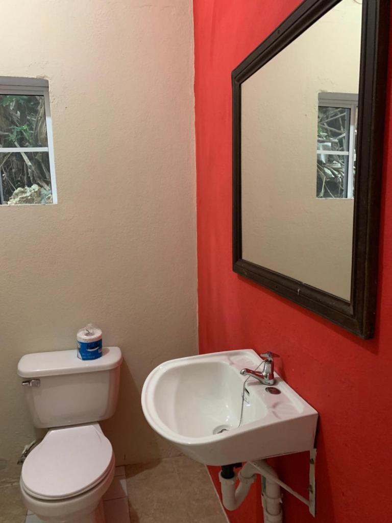 Kingsworth Bed and Breakfast photo 4