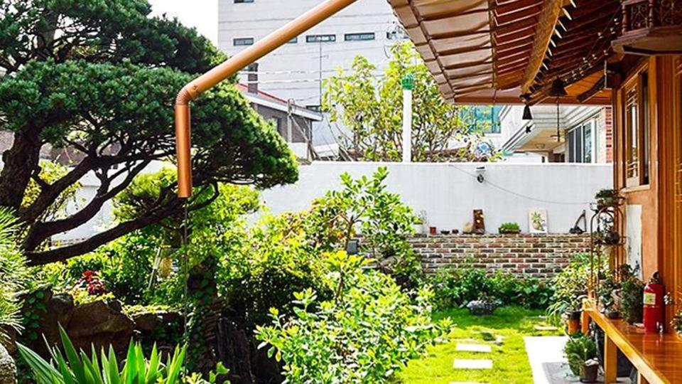 Beautiful Garden Fine Day House