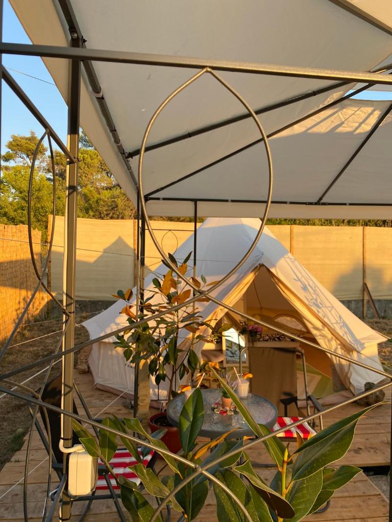Estera Tent photo 1