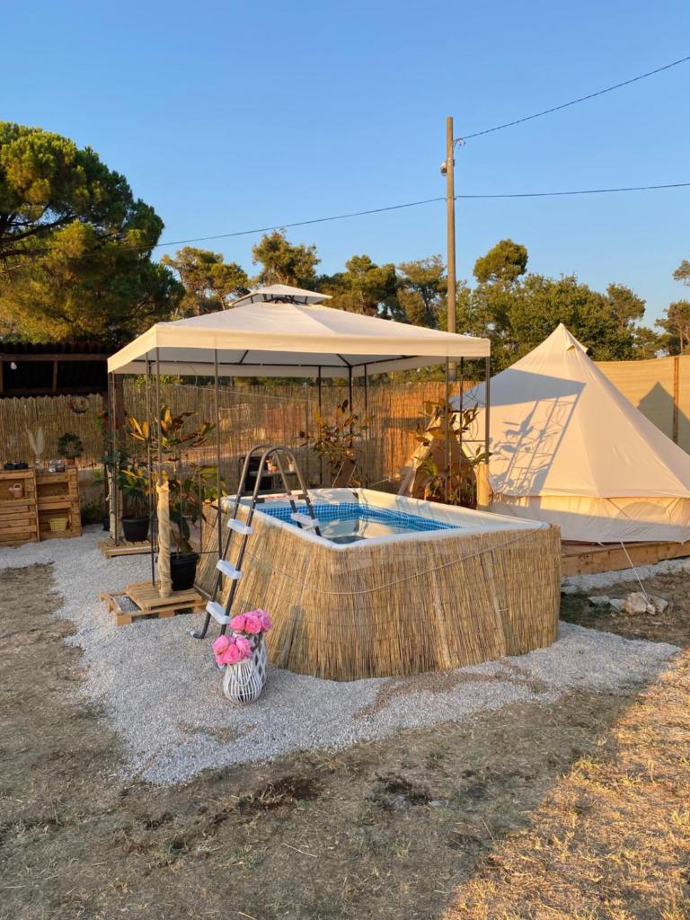Estera Tent photo 2