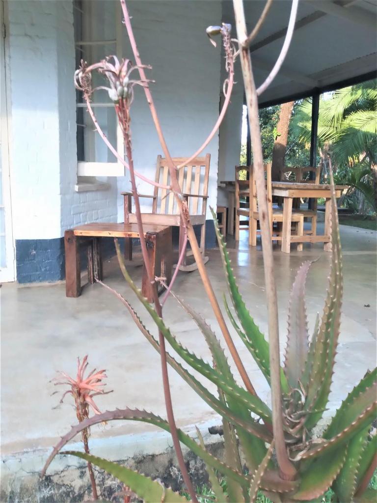 Paphiri House photo 4
