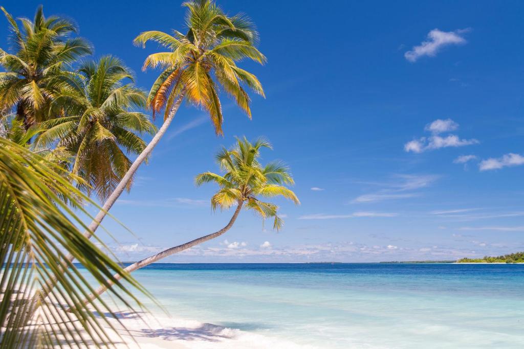 Dhonfulhafi Beach View photo 4