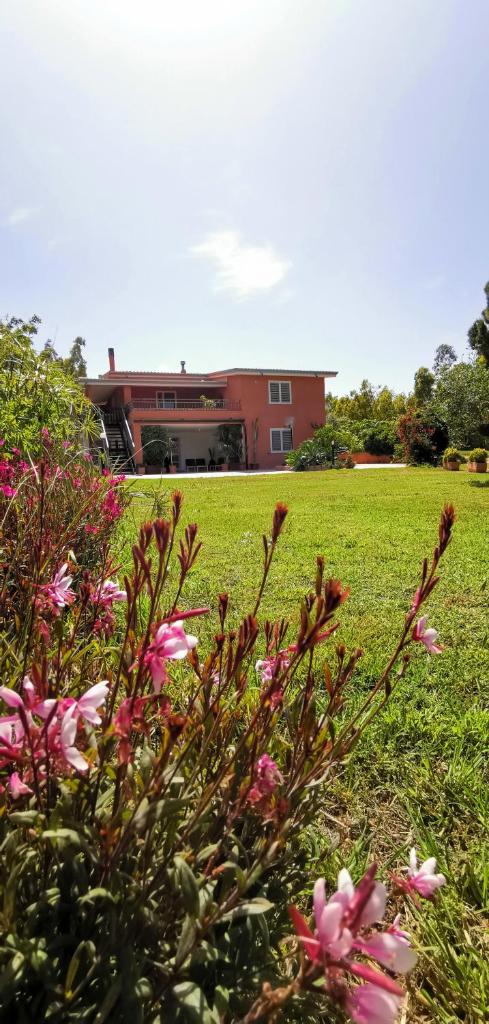Home Garden