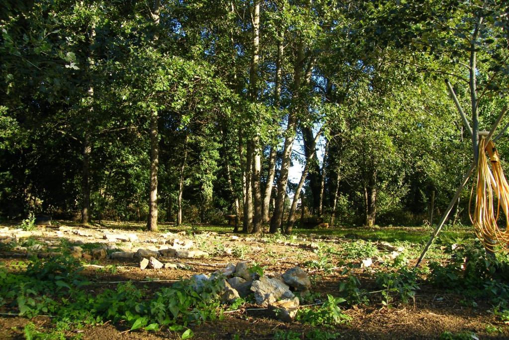 Le Sanglier Sauvage photo 2