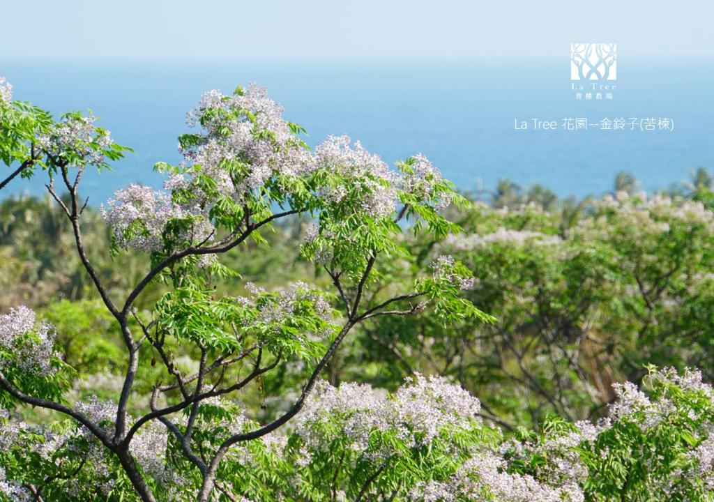 La Tree 普椿農場木子莊園 photo 2