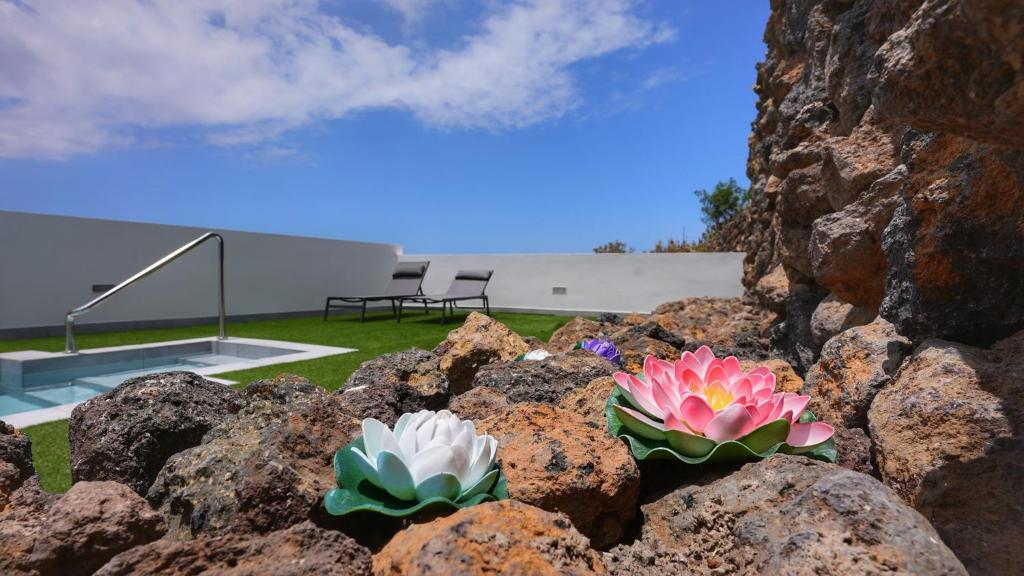 Mireya home photo 1