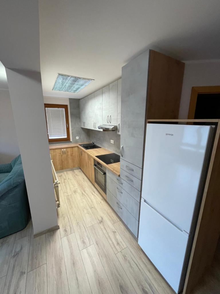 Apartma Ivana photo 2